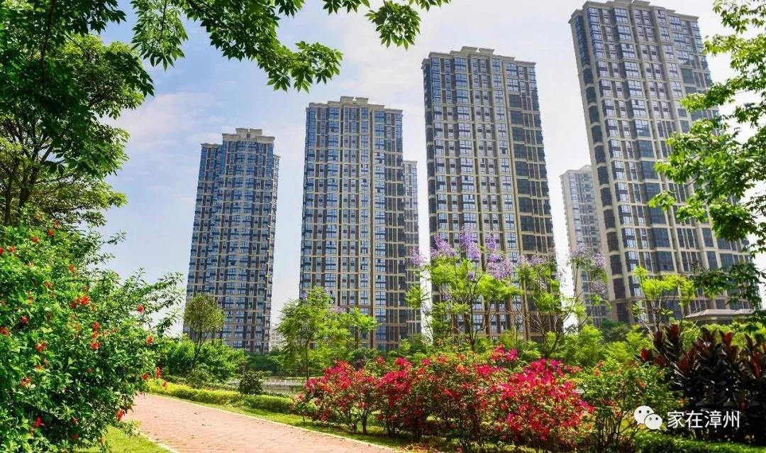 漳州國貿(mào)潤(rùn)園最新房?jī)r(jià)揭秘，家的故事與溫馨家園的呈現(xiàn)