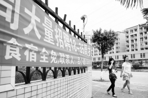 河源東源仙塘最新招聘，時代背景下的新機遇啟航