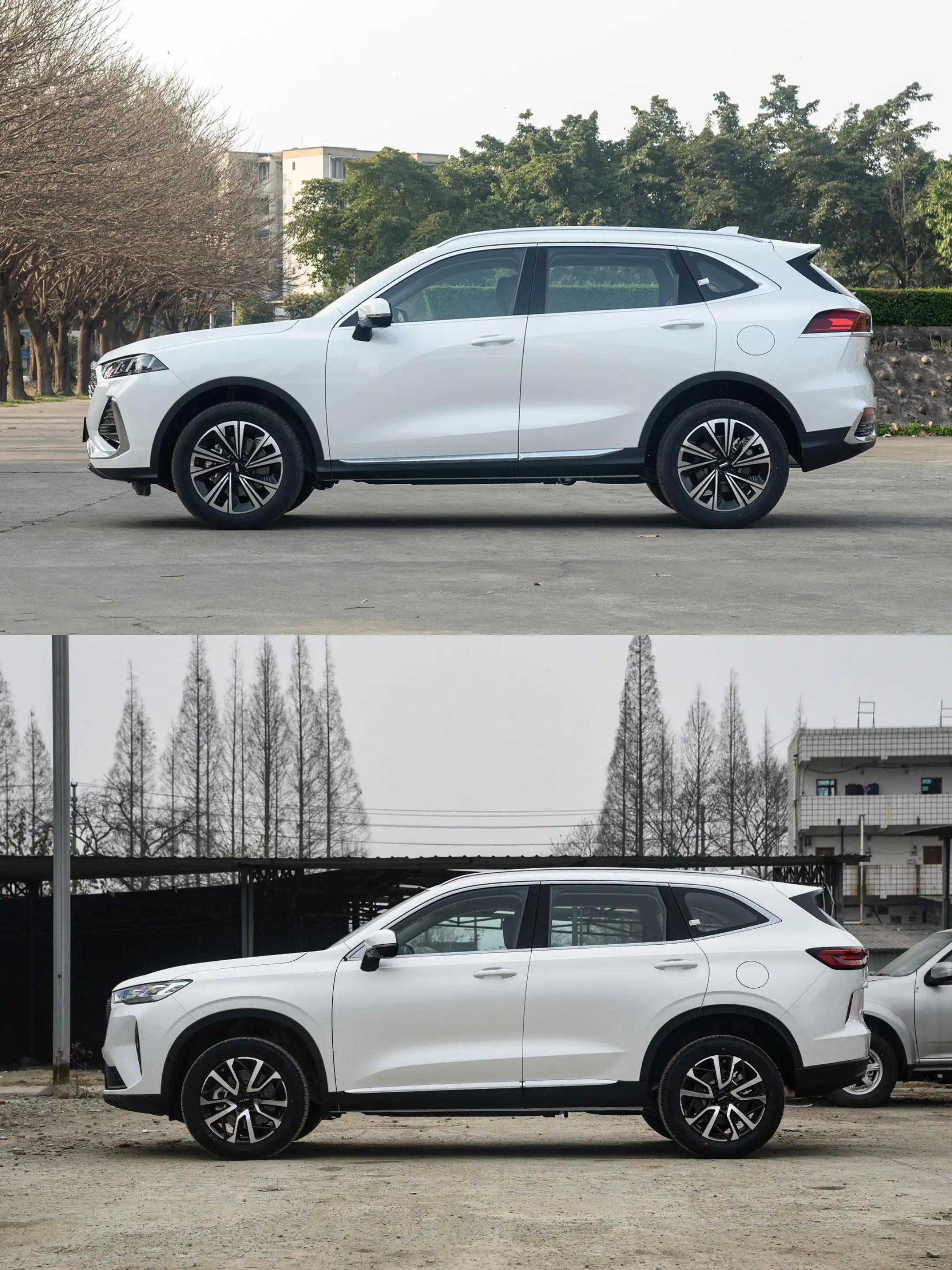 敢問路在何方最新動態(tài)，探索未來科技與智能生活的新篇章