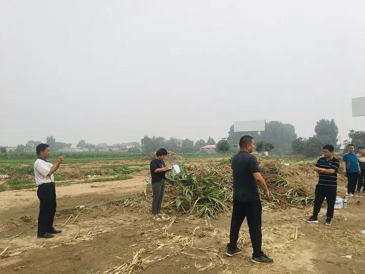 永年區(qū)最新工程項目，時代印記與未來展望之路